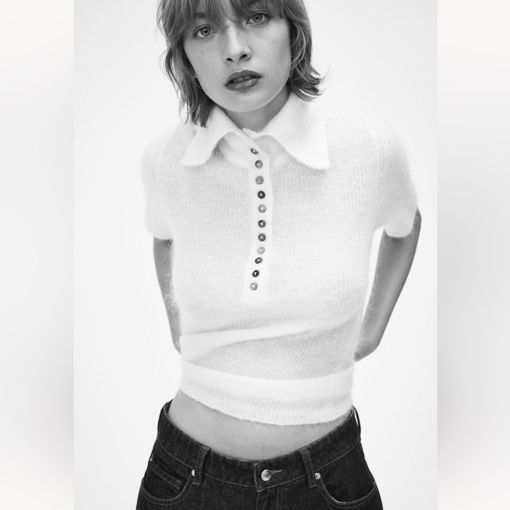 H&M Mohair Wool Blend Polo Top